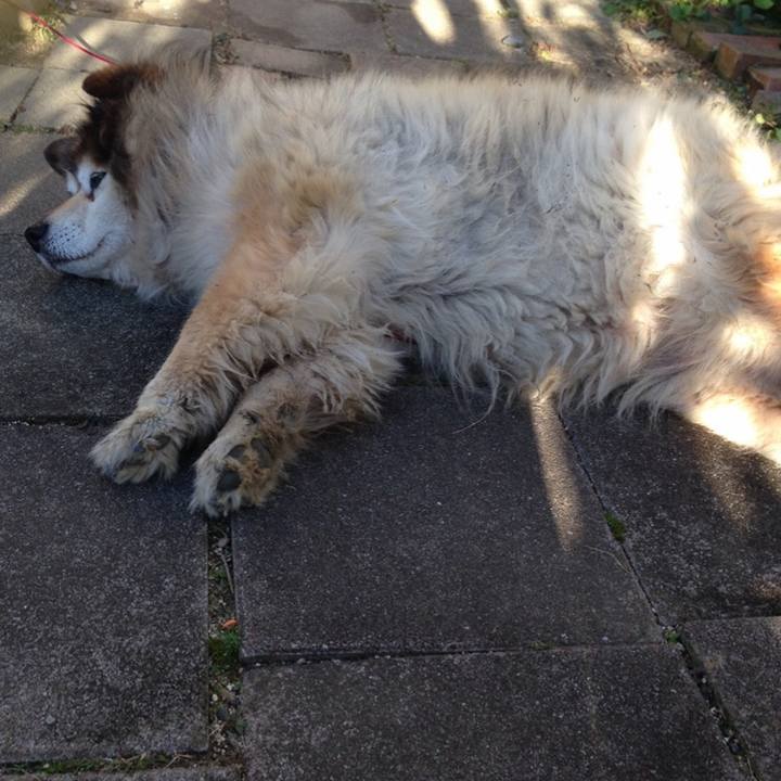 4cd4d725 e370 41eb bb13 1ceda848500c 1574989033361