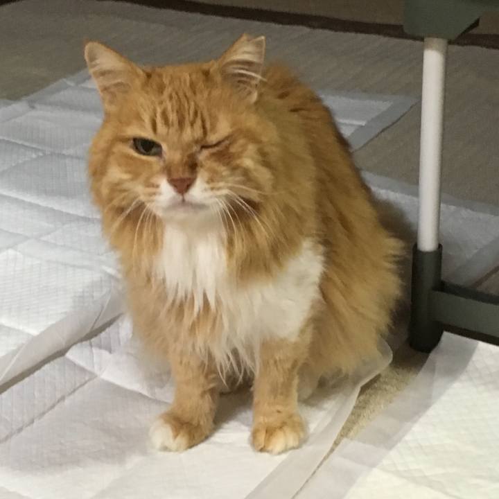 4cd52823 93be 4b7d 9e7f ac4a9181bf1b 1512296804446