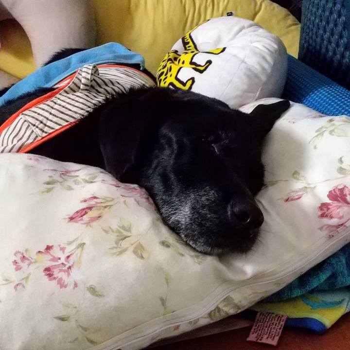 4cd5321e 8eae 4747 a5ff ce5d69b1594e 1716854154289