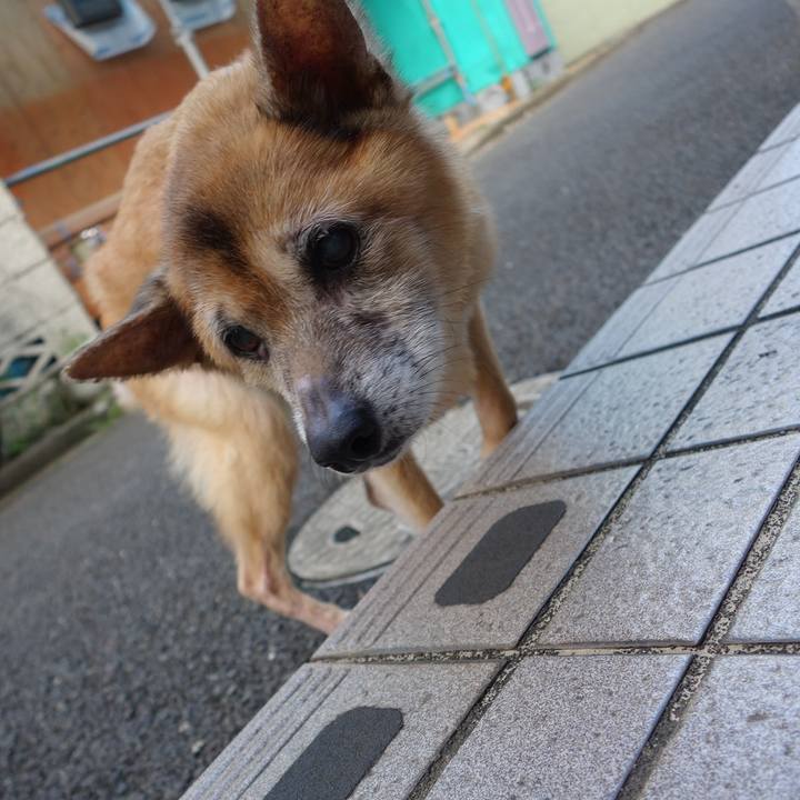 4cd537da a2a1 4041 b6a9 372d8c1fa6ba 1568759182896