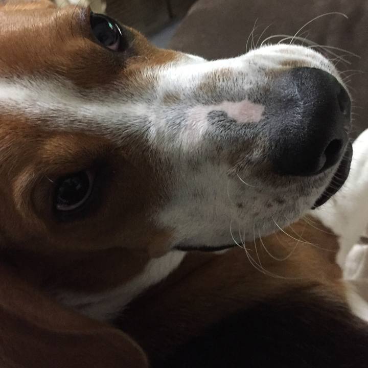 4cd57312 4cac 4b23 9a38 a4869587cd33 1527248219665