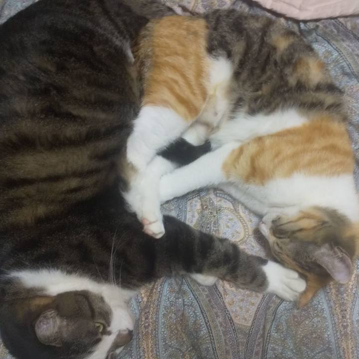 4cd57e1e a3bb 4015 ac21 e1ff57a197f7 1737384246571