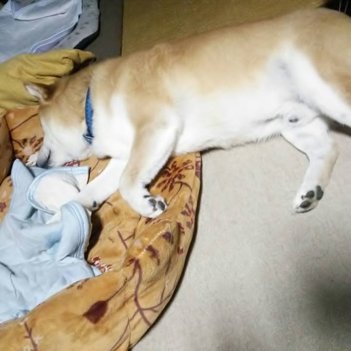 4cd5a73e 1c01 4fa9 bda7 92cc57a7ac77 1561631042053