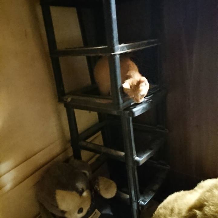 4cd5d18e c894 468d 823d 03f9c9068fc3 1633175787375