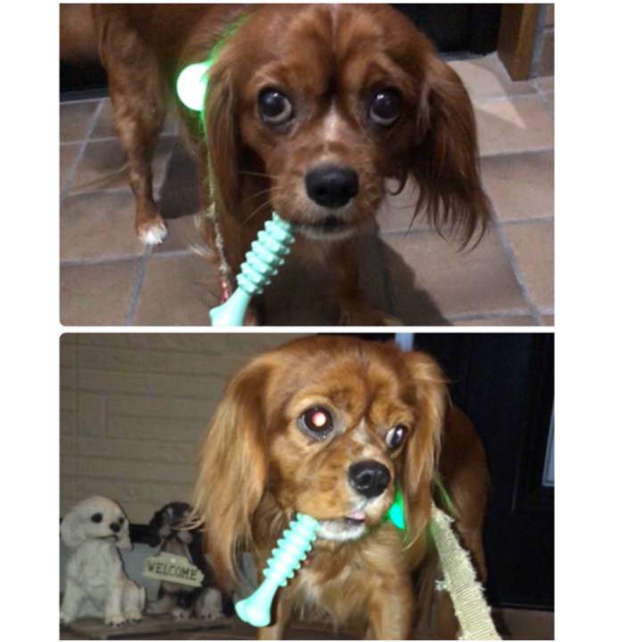 4cd5de08 0952 422f a088 3c8e12c11ef7 1542146889338