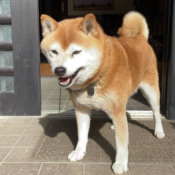 4cd5e262 97df 4bcf 884a 17a401dc8a67 1620286535816