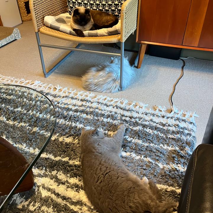 4cd5e3b4 898b 4a3d 964c bbbd837f5387 1745735754250