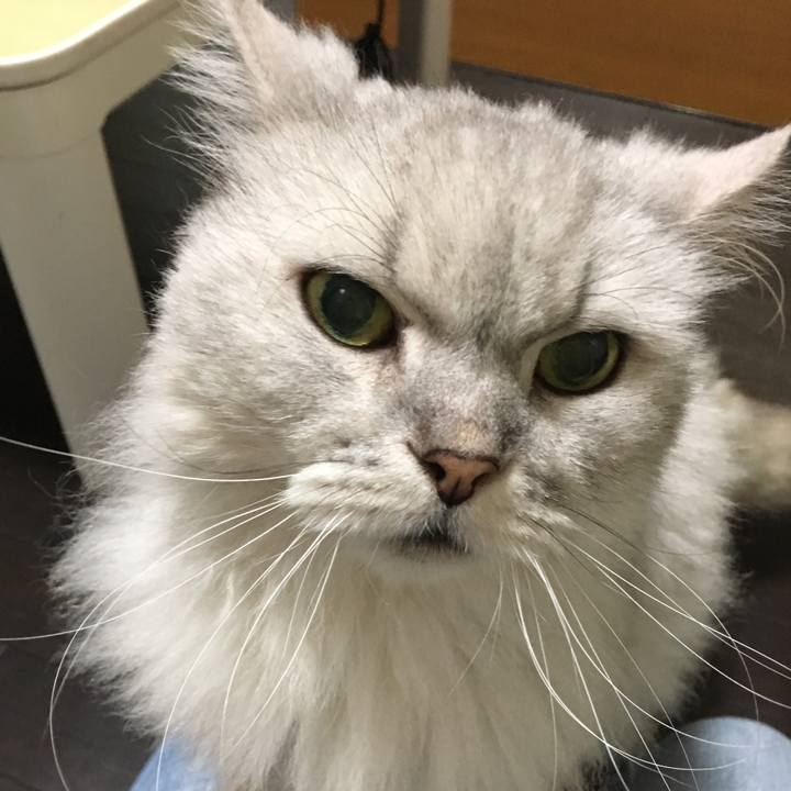 4cd604ca e320 4565 b0d0 b38bc794c373 1558003166917