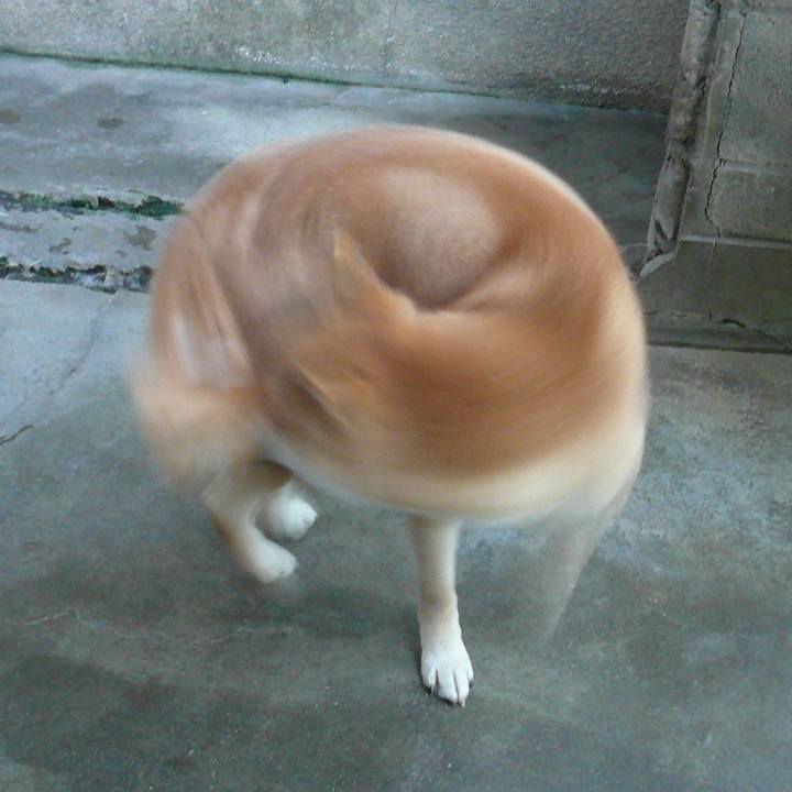 4cd61b49 393c 4c04 a60e 72f7a03362ff 1620687886351