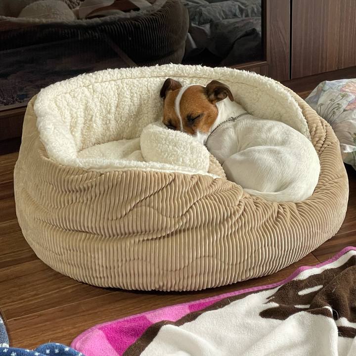 4cd62fb2 c247 474f 8ff2 2e2de1778900 1648252020915