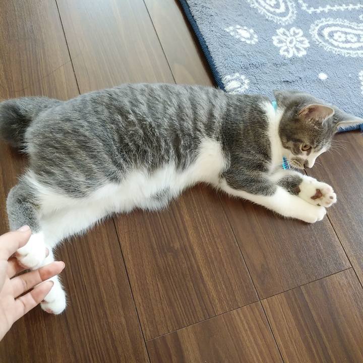 4cd64303 5a99 4c72 a6da 6f982cc65e14 1568246955331