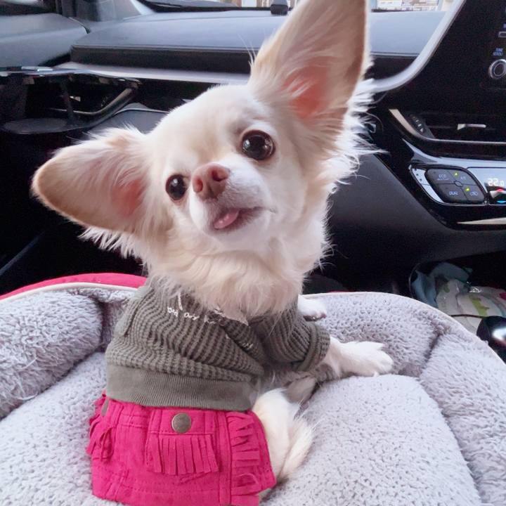 4cd64f1d aa50 4992 b51e 4f17792c9de1 1737791631321