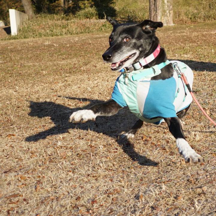 4cd66030 d269 460a 910e d58c82f0e38d 1771029877182