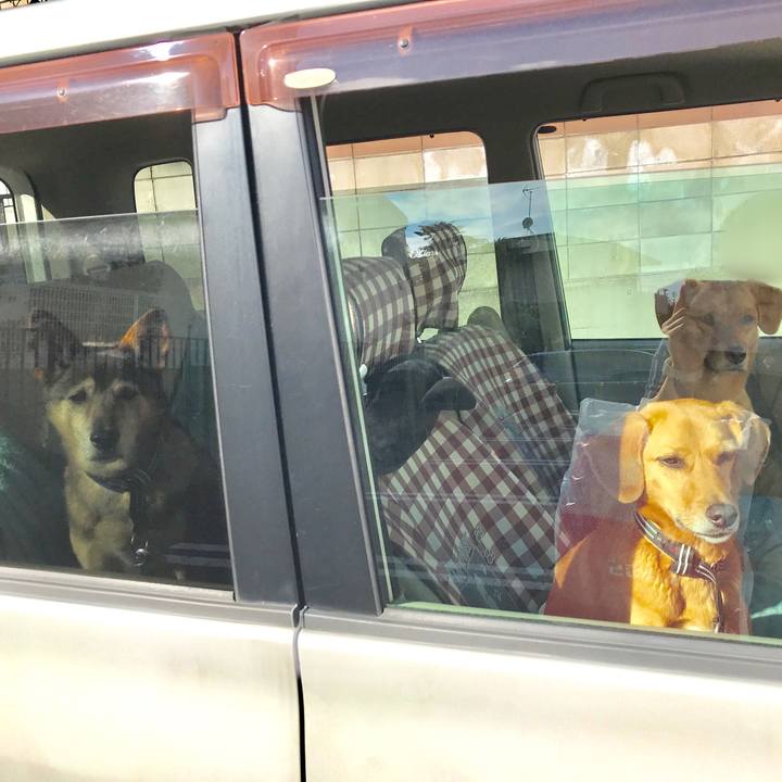 4cd66f04 0a98 4131 8965 cd9a16b0bf59 1539522518394