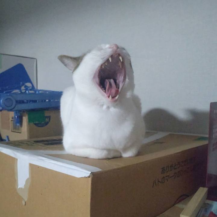 4cd68e1e 1bb6 4b65 aacf 8de91d69c2ed 1761480892194