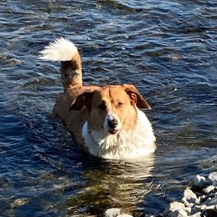 4cd6a215 0c6d 4495 b7f6 665af190cdc3 1668740922495