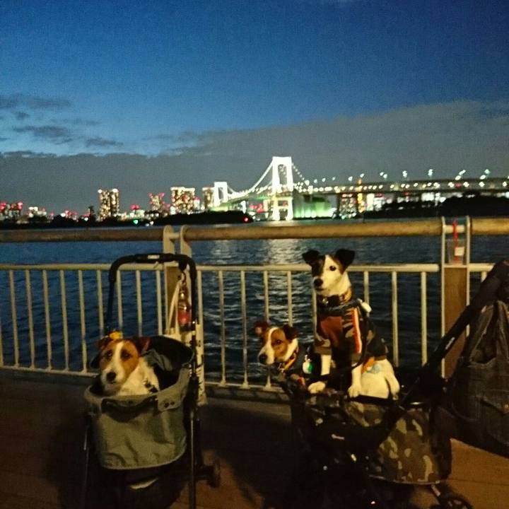 4cd6b090 64df 4f2c 80c2 0523e69ca7e1 1541601494007