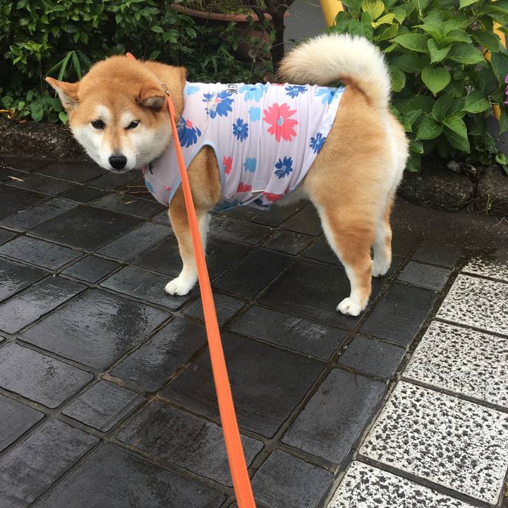 4cd6c80d b143 45d9 931d 516e9f54cf20 1592548372462