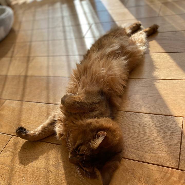 4cd6f4ea 9efb 44dc a8aa 19c511bcabe0 1672188882368