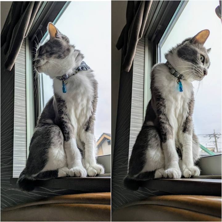 4cd7662e 4783 470e a47d 9aa978a23335 1759802447666