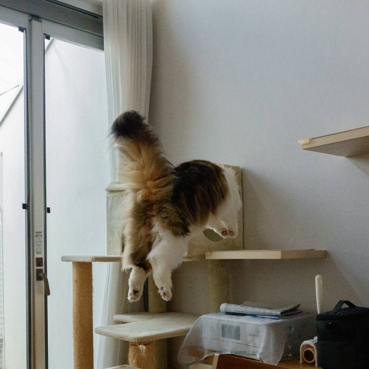 4cd77e82 af74 4e61 ba39 b9c23a82c1b3 1723695359290