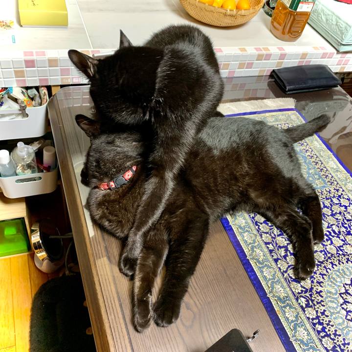 4cd77f0c b948 4c6b 84bc dc44264aced8 1636028201605