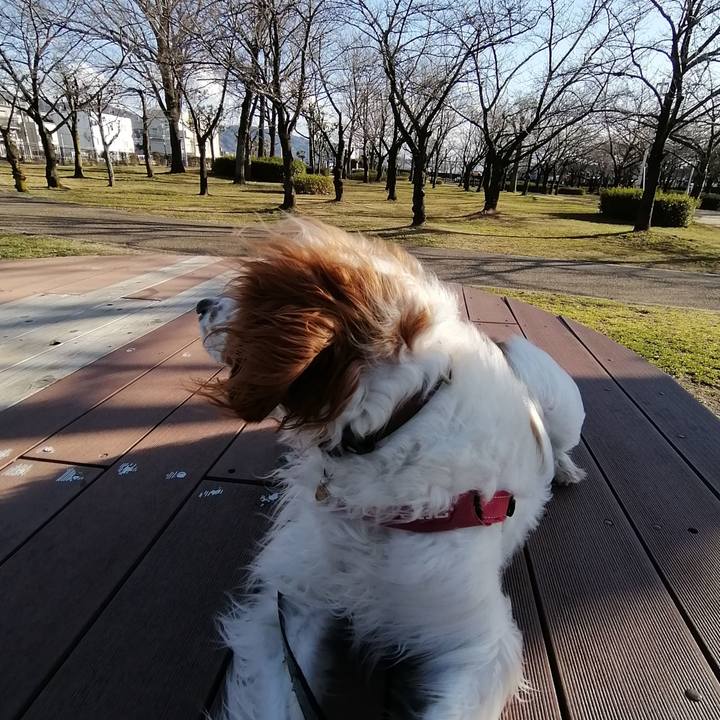 4cd792a6 28e8 4378 919d d8e3012764a2 1581939233535