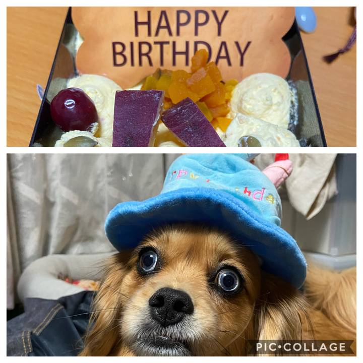 4cd7a78a 2c02 4018 bbea 3365375fac40 1583753606614