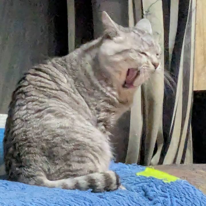 4cd7dfef 8178 4253 a0f2 076adba30ac1 1743845632339