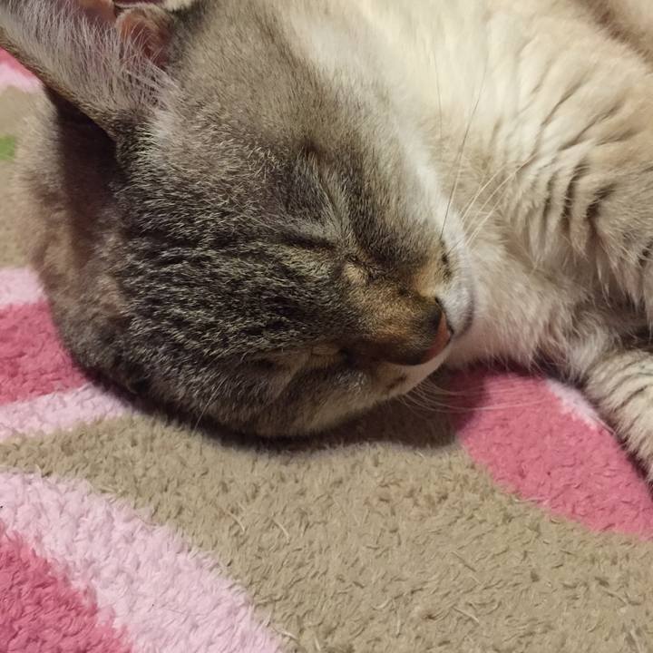 4cd7fa69 5f72 45d1 a9cb 844d9fb271ed 1521111649592