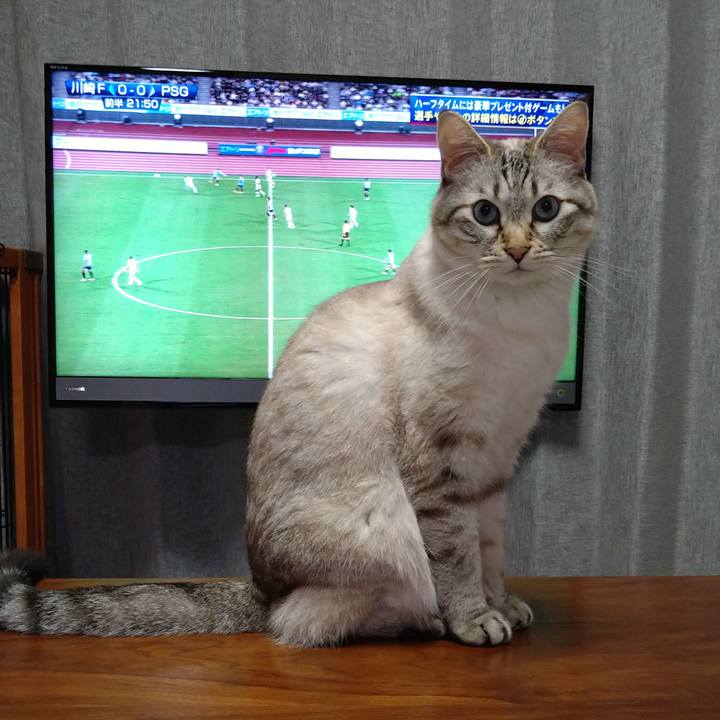 4cd815ab 357c 4222 8986 7272766b052a 1658314751813