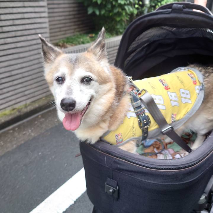 4cd82a66 caef 488d a03b 52ce133f0b8c 1750080668508