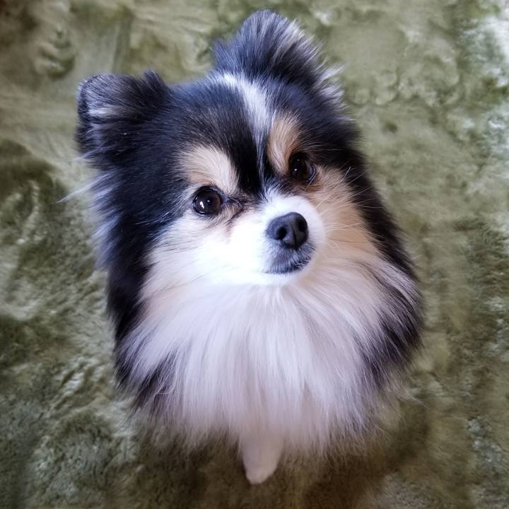 4cd82f3e acfe 4c03 9958 4741c8c6f5f0 1577579505732