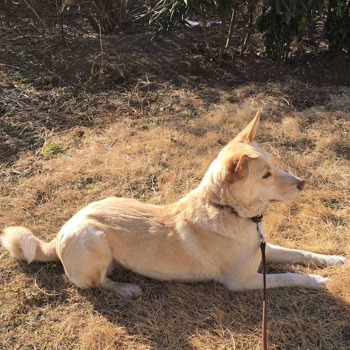 4cd851ac 3811 4373 b4ed e97facad9738 1518935553334