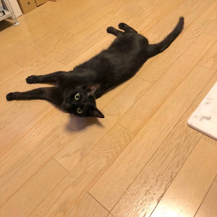 4cd86dfc f767 40fc bf54 43bbb44d6a32 1530618674058