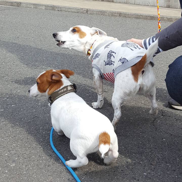 4cd87f2f c5b7 46dc 9523 595c84458b26 1552185216275