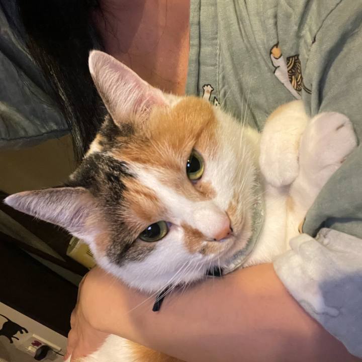 4cd88e26 3d36 4636 9266 7ed81a92c67a 1667397935121