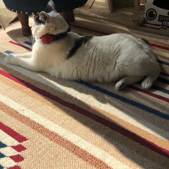 4cd89051 bd69 414b b5a4 ad7a093ff34d 1557555183860