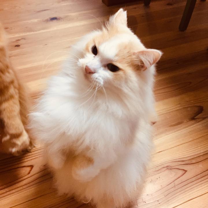 4cd89eae 581d 4263 8405 246a767745ea 1584314415157