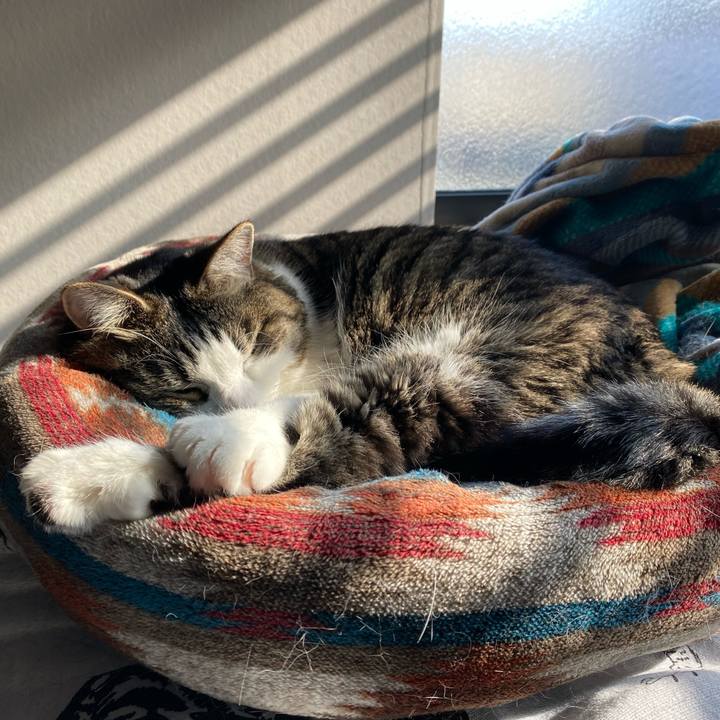 4cd8b5b4 7dc5 4e8c 80c8 d226e93a5e9c 1733107186682