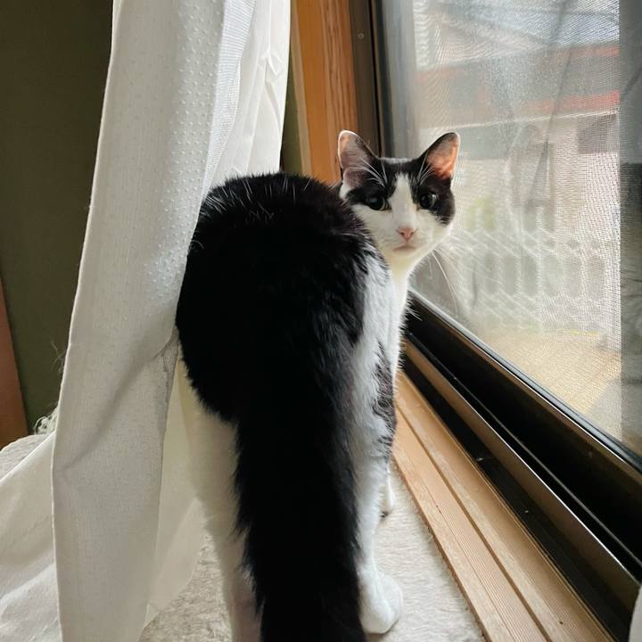 4cd8bf17 70e9 4f29 8e2b f1323e335c61 1627260707899