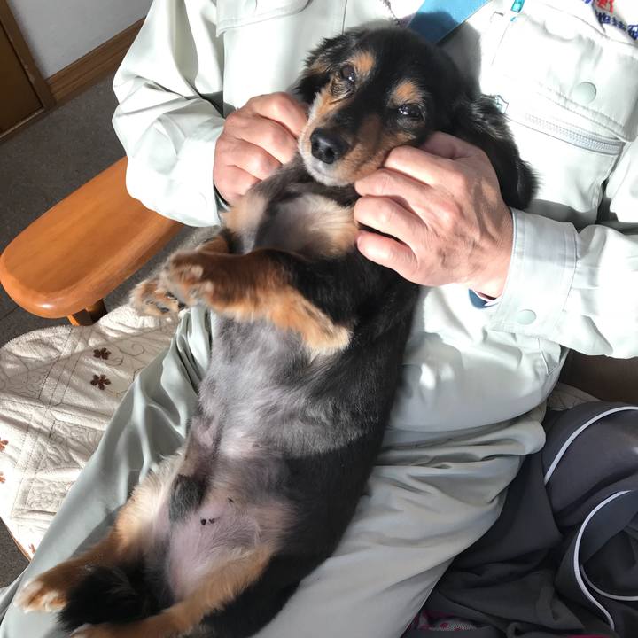 4cd90b69 83be 4b1c a37a ffe0e6dd17b0 1508883901399