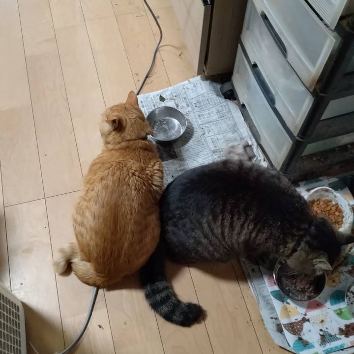 4cd911ac 6f15 469c a76c c2ce8fce6917 1682826617159