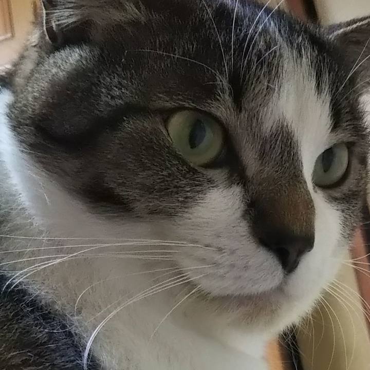 4cd931ec 4fb7 494b 9eff 495f107ec32d 1608474003980