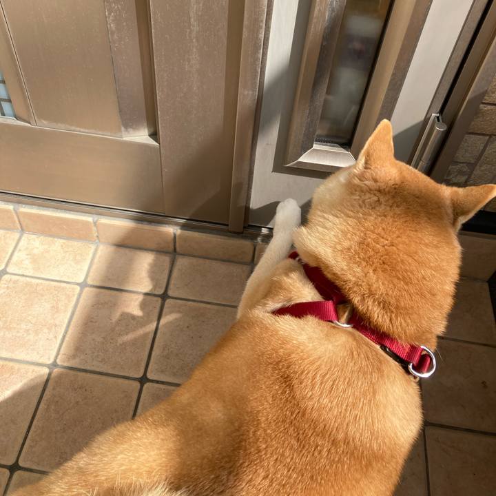 4cd935da 3514 44ed 9e97 abc3549f773a 1617172935009