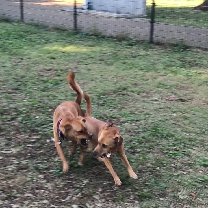 4cd95b3c 125e 4ae4 8fbd d75f5545193a 1540803600612