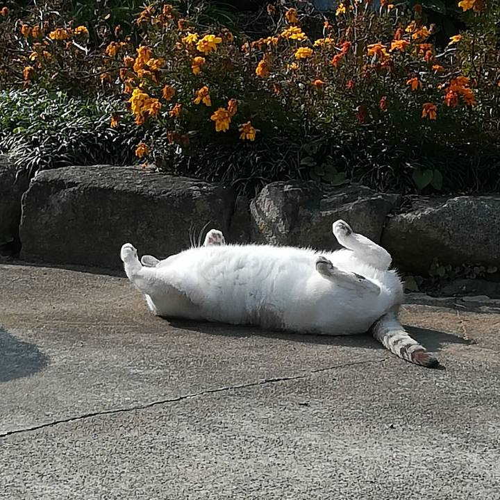 4cd98e25 31fc 4146 ac01 1c066f454cf6 1550490852850