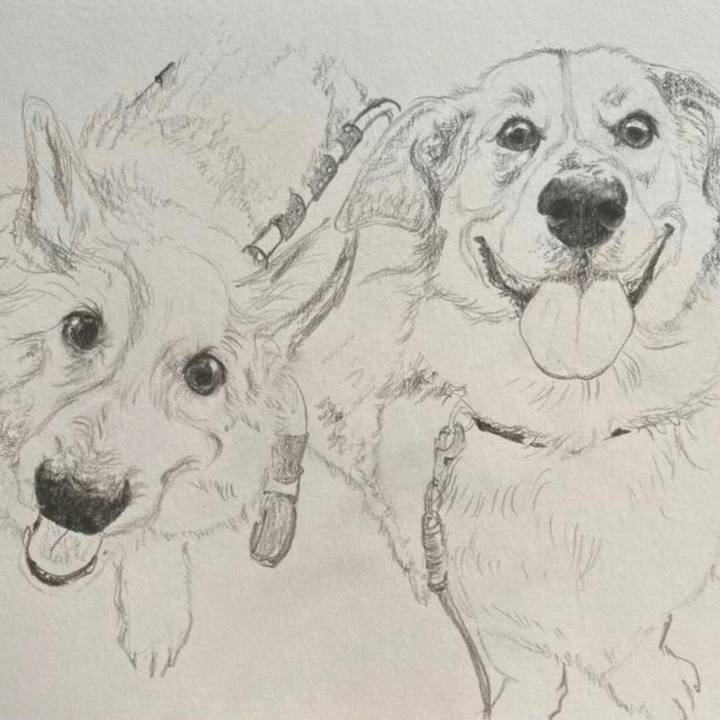 4cd9dfe9 fd8d 4b5a 9dc5 b8880aa619e1 1645800168525