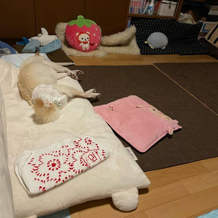 4cd9efdc 0562 4386 8549 ad81260eaad4 1663593976992