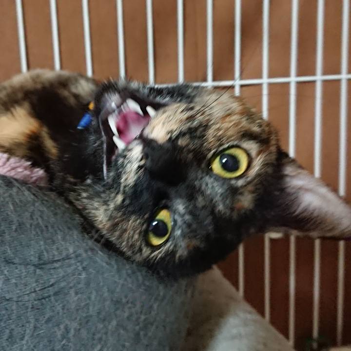 4cda8001 f692 49ee 9b0d 166751eb27d4 1549286336583